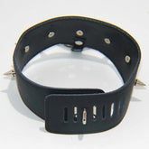 Sharp Spikes Collar Heavy Collars and Leads